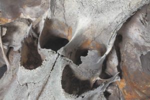 Masque vénitien, Venetian mask - Crâne de Globicéphale, Pilot whale’s skull - Bernard Neau